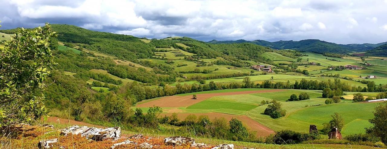 Hotel Cap Vert En Aveyron Saint-Affrique Eksteriør billede